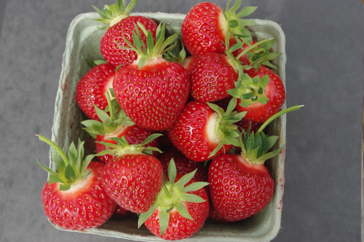 Strawberry Cavendish