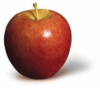 Apple Braeburn