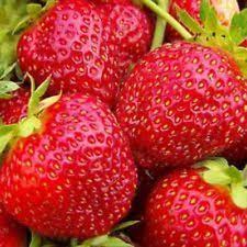 Strawberry Aromas