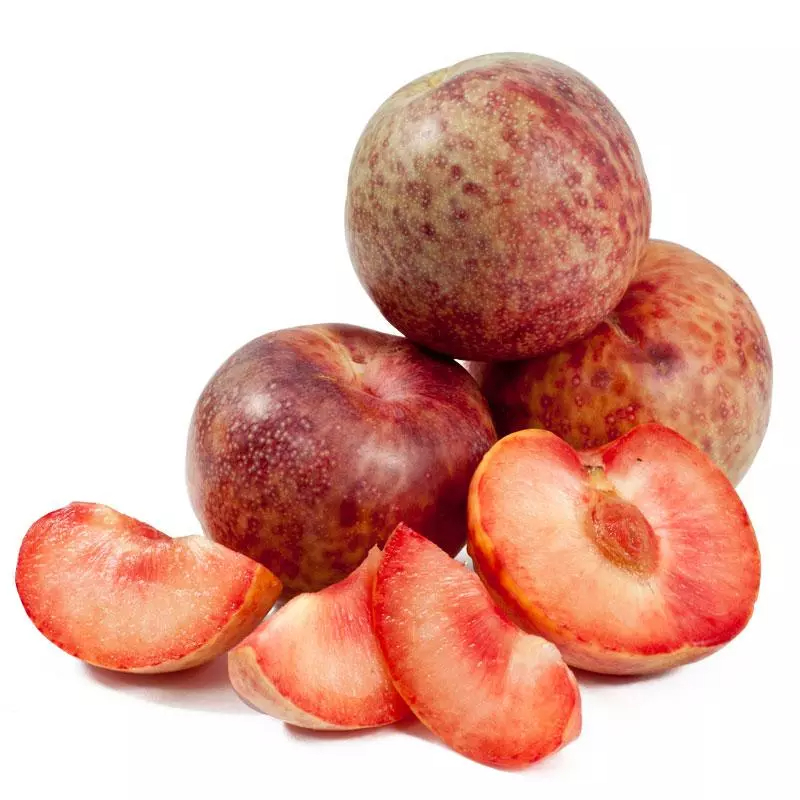 Pluot, Plumcot Dapple Dandy