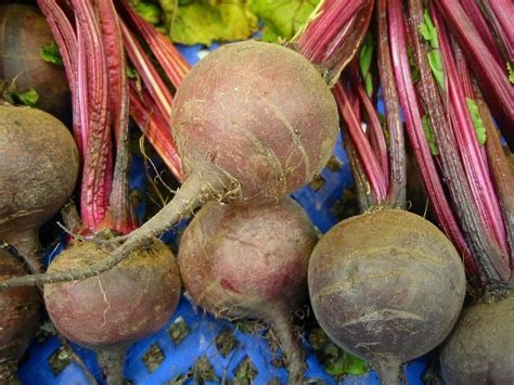 Beet Red Heart