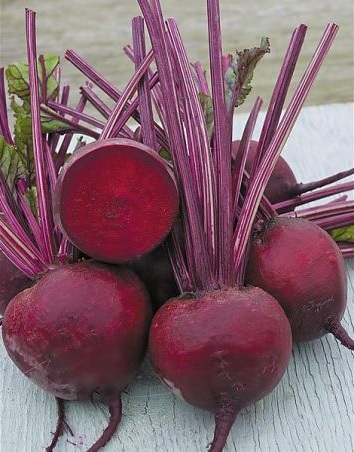 Beet Crimson King