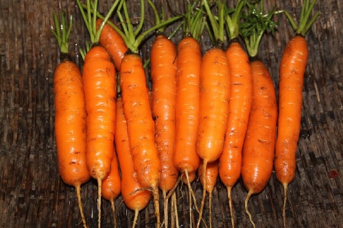 Carrot Juwarot