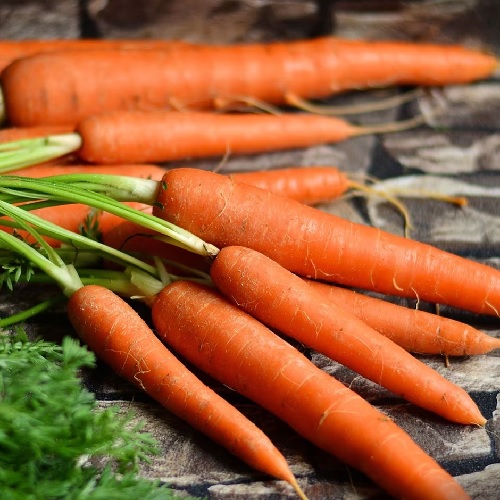 Carrot Long Red Surrey