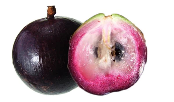 Star apple, Caimito