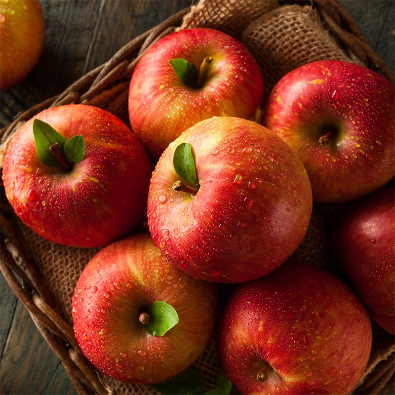 Apple Red Fuji