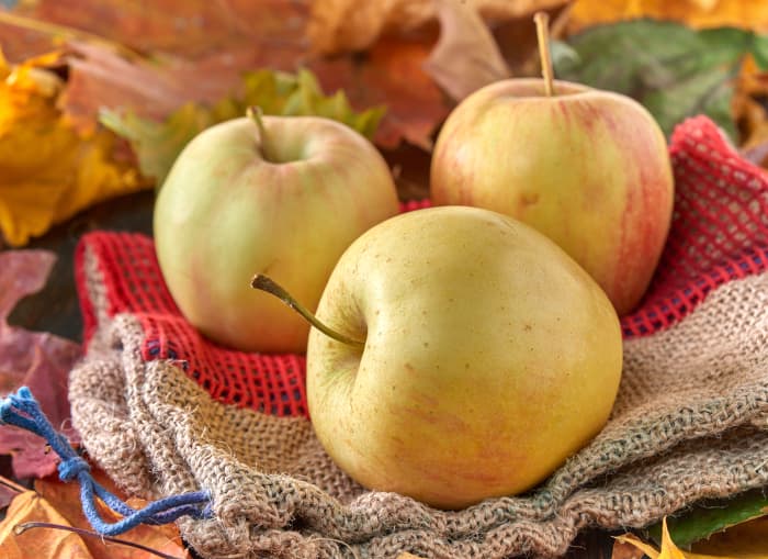 Apple Winter Banana