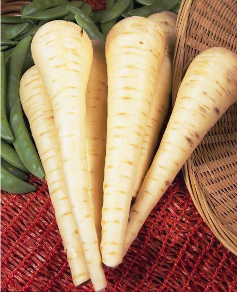 Parsnip Imperial Crown