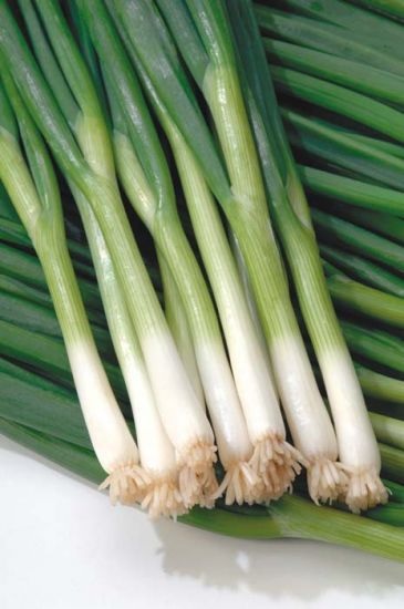 Allium, Garden Onion, Bunching Onion Green Banner