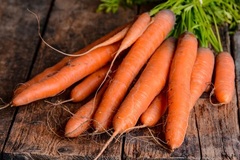 Carrot 'Prodigy'