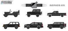 1/64 Black Bandit Series 25 6 Types Set