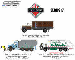 1/64 S.D. Trucks Series 17 Set of 3 Types