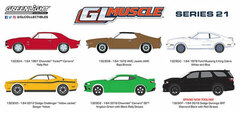1/64 Muscle Series 21 6 Type Set