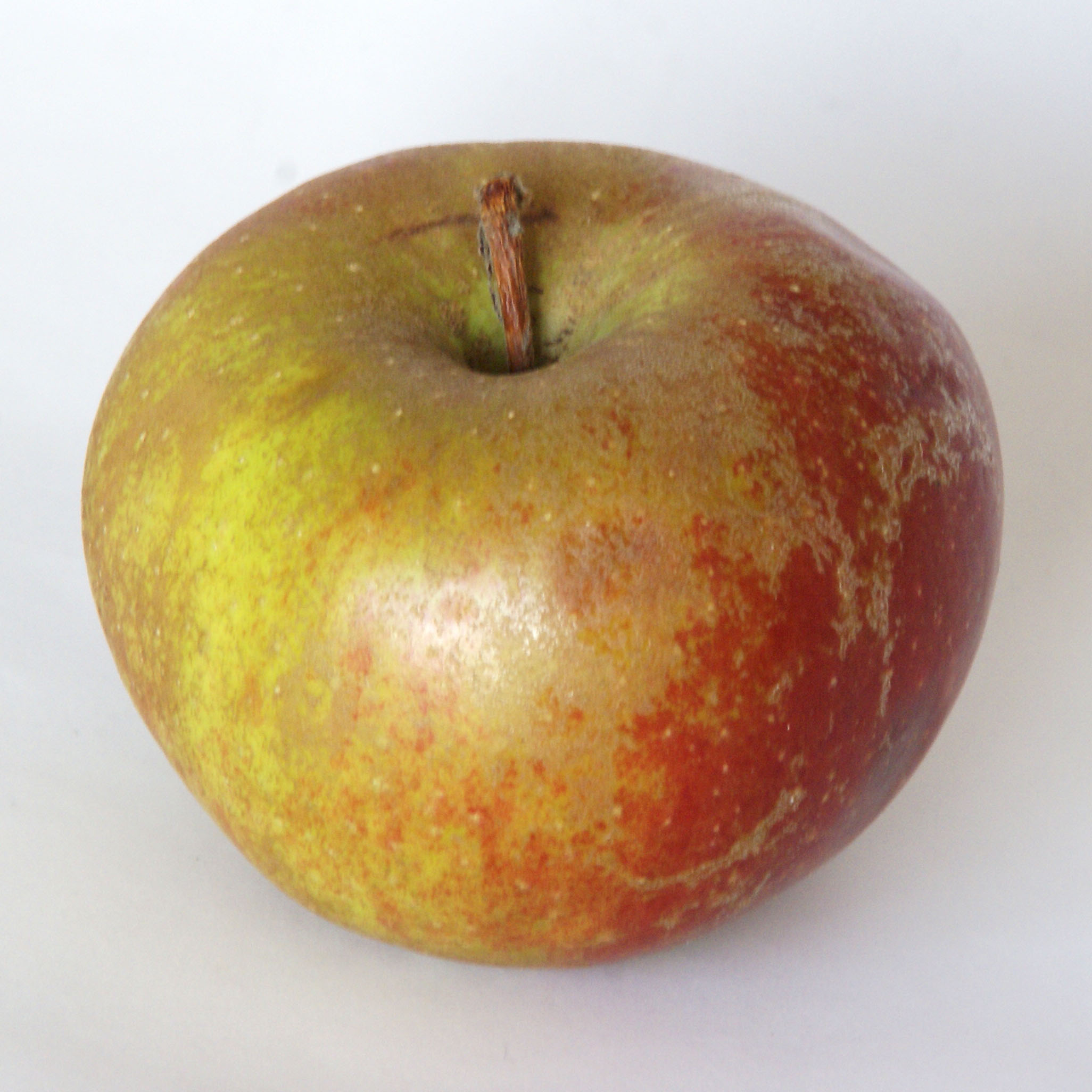 Apple Belle de Boskoop