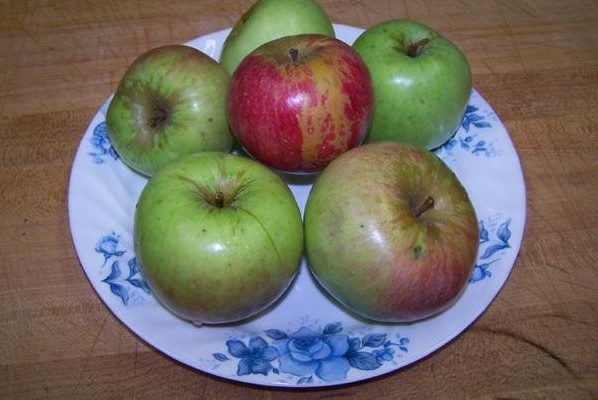 Apple Summer Champion