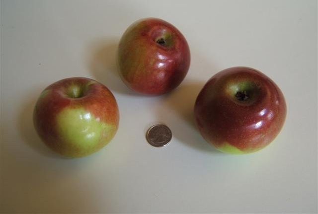 Apple MacFree