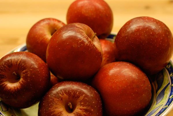 Apple Cinnamon Spice