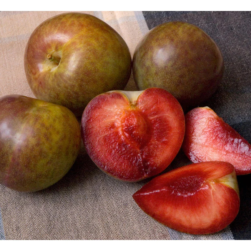 Pluot, Plumcot Flavor Supreme