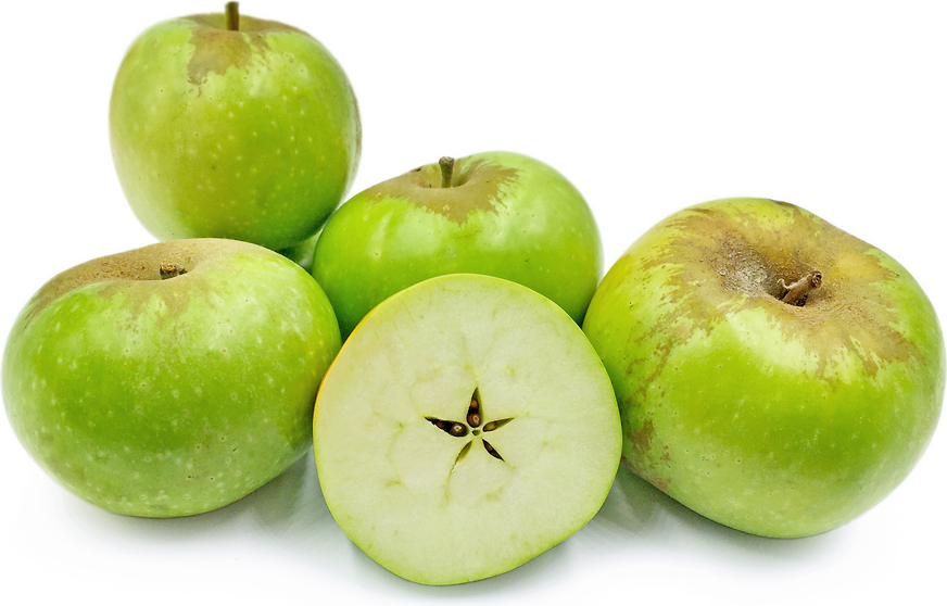 Apple Rhode Island Greening