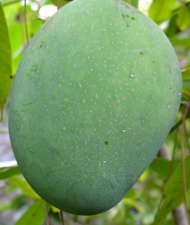 Mango Alampur Baneshan
