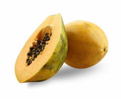 Papaya 'Solo'