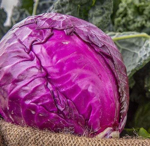 Cabbage, Red Crimson Emerald