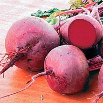 Beet Aviv