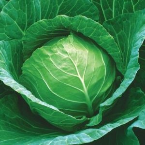 Cabbage Lucky Ball