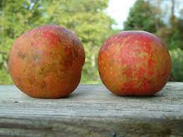 Apple Hunge