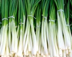 Allium, Garden Onion, Bunching Onion Cippolotti a Mazzi