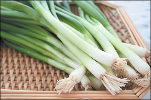 Allium, Garden Onion, Bunching Onion Duc