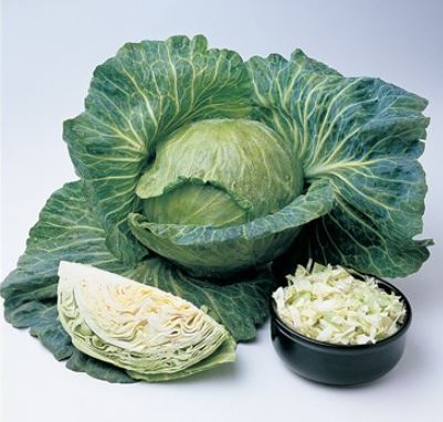 Cabbage Wisconsin All Seasons