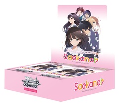 Saekano(flat) How to Raise a Boring Girlfriend. flat - Booster Display