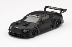 1/64 Bentley Continental GT3 Test Car (Right-hand Steering)