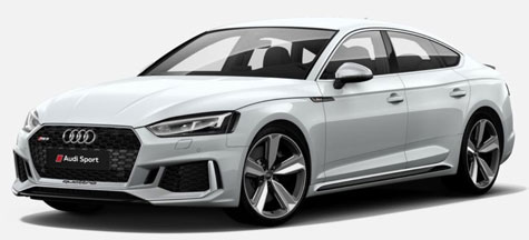 1/18 Audi RS5 Sportback (Gray)