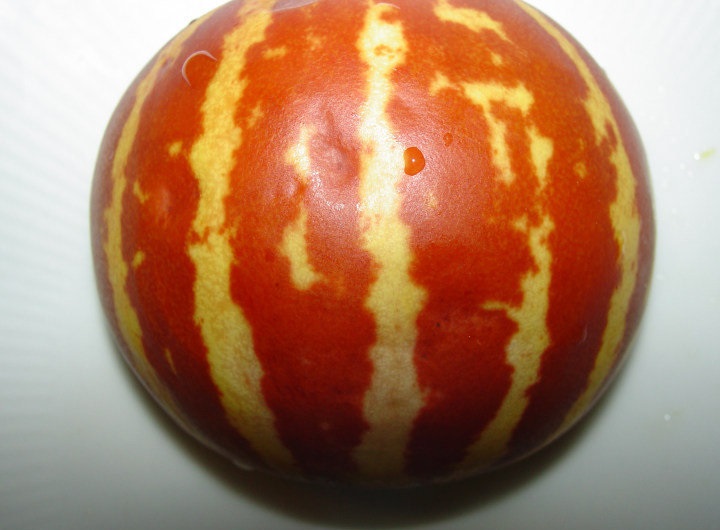 Melon Tigger