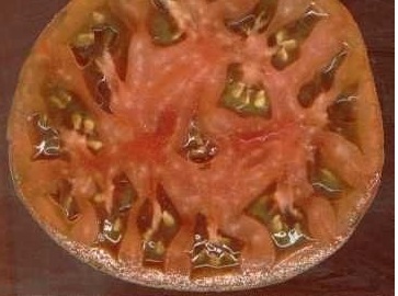Tomato Black Brandywine