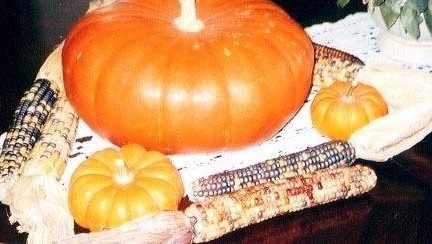 Pumpkin, Winter Squash Rouge Vif dEtampes
