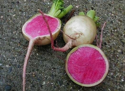 Chinese Radish Rose Heart