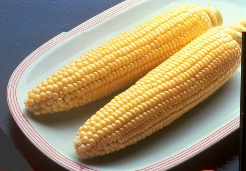 Sweet Corn (Se) Bodacious