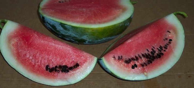 Watermelon Black Diamond