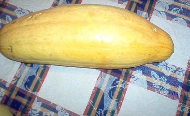 Winter Squash Pink Banana