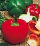 Sweet Pepper Topepo Rosso