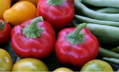 Sweet Pepper Sheepnose Pimento