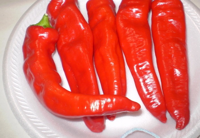Hot Pepper Georgia Flame