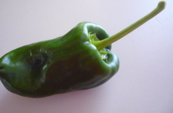 Hot Pepper Ancho San Martin