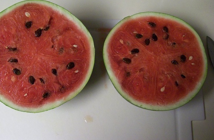 Watermelon Early Arizona