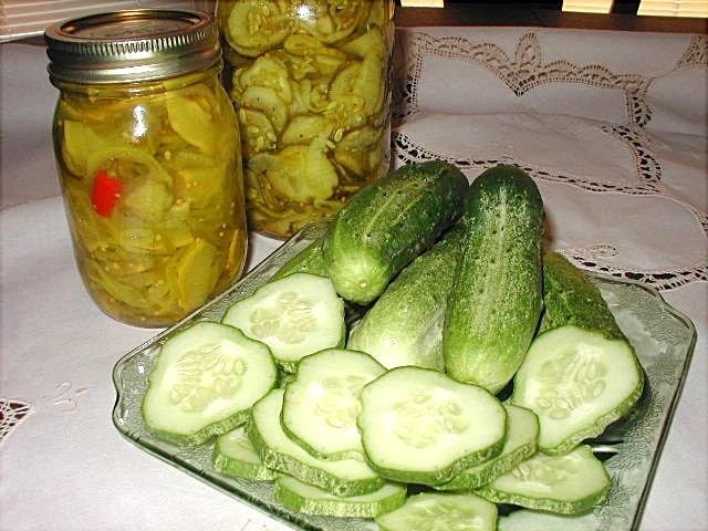 Cucumber Snows Fancy Pickling
