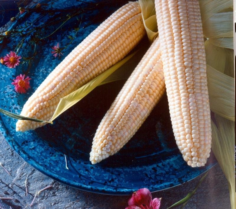 Sweet Corn (Se) Argent