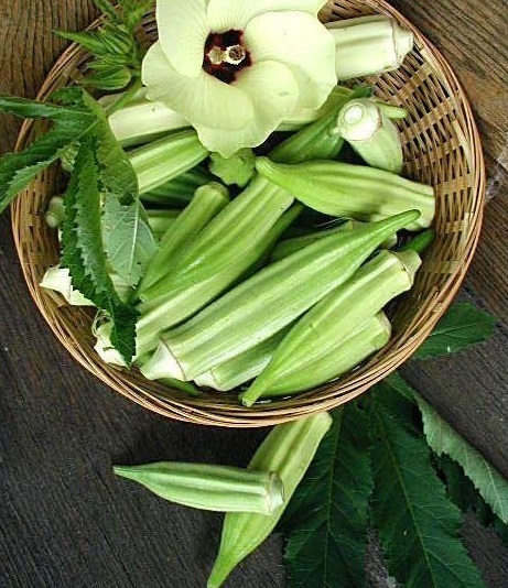 Okra Dad Speegles Special